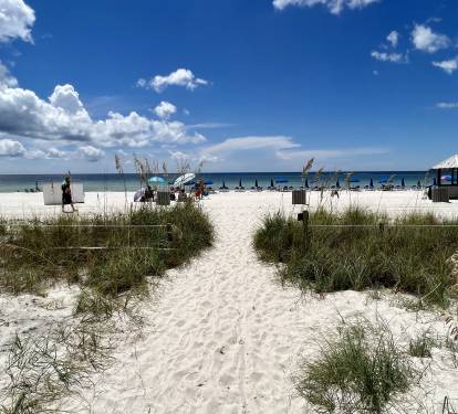 Photo #36