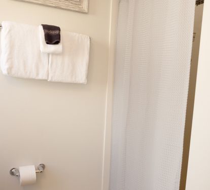 King suite walk in shower
