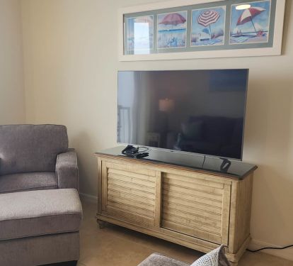Television