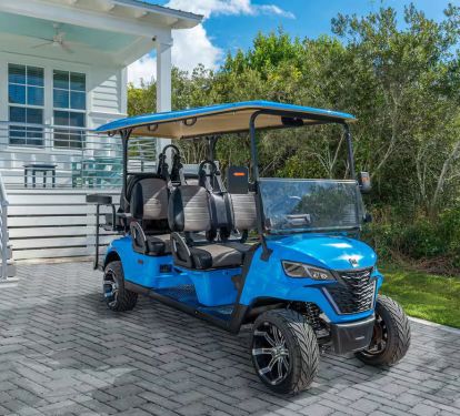 6 seater golf cart