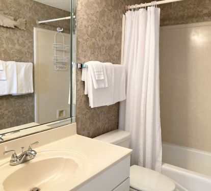 Hall Guest Bathroom