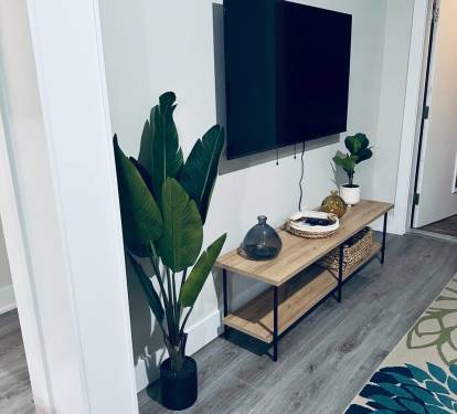 Smart TV