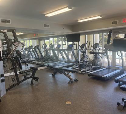 Photo #23