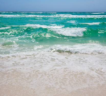 Photo #31