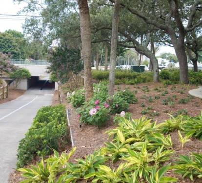 Photo #36