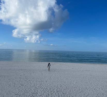 Beach View
