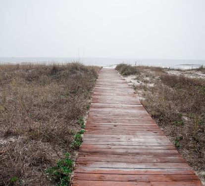 Photo #19
