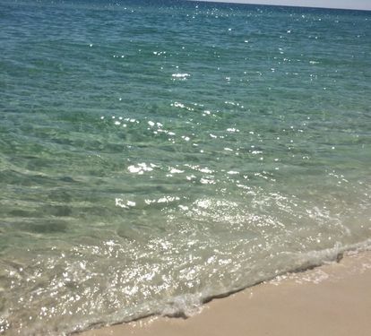 Photo #15