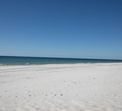 Photo #10
