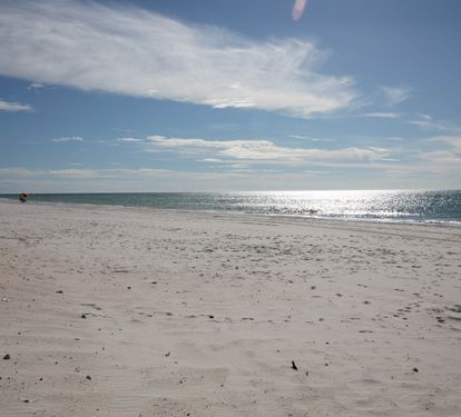 Photo #11