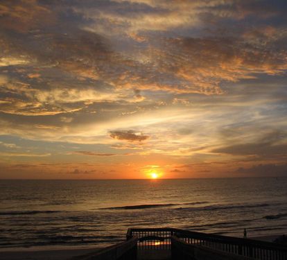 Photo #24