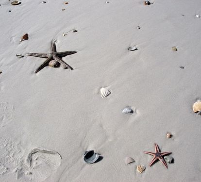 Photo #14