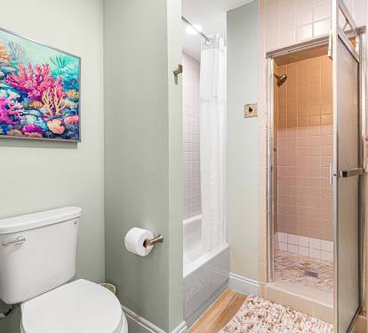 Retro Master Bathroom with Tub and Stand Alone Shower