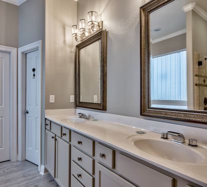 Master Bath with walk-in shower, jacuzzi & twin vanities