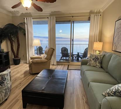 New sofa and swivel chair