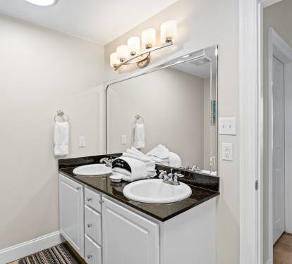 Double sink, granite
