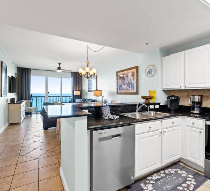 Kitchen/living room view