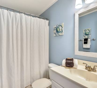 Guest bathroom
