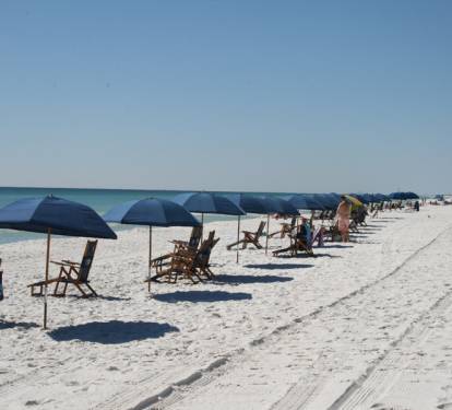 Photo #28