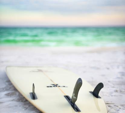 Photo #31