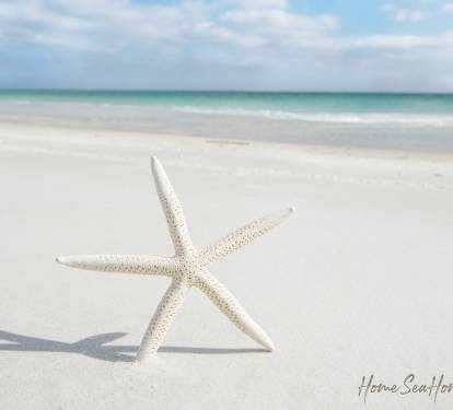 Photo #29