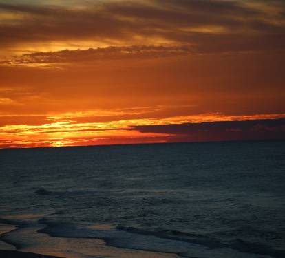 Photo #28