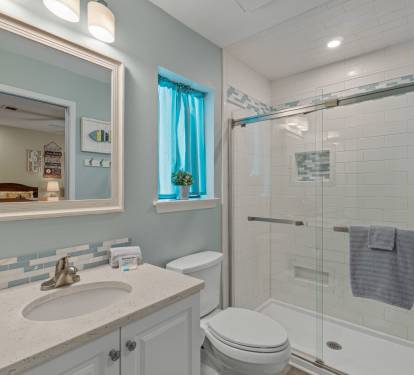 Guest Bathroom (Walk In Shower)