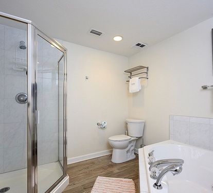 Master Walk In Shower and Jetted tub