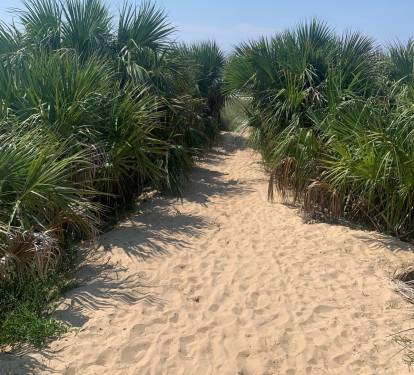 Enchanted path to beach!