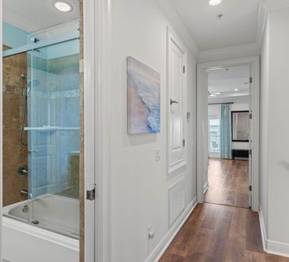 3rd Floor Guest Bathroom/Hallway