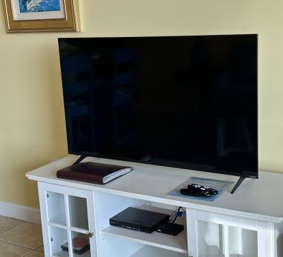 Family room television