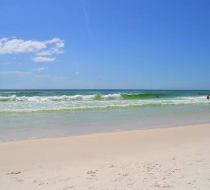 Photo #31