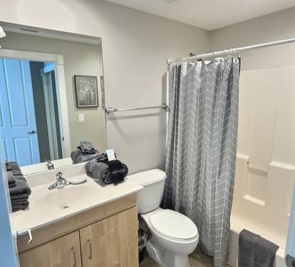 King Guest Bath