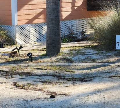 2 Designated Parking Spaces next to Cottage