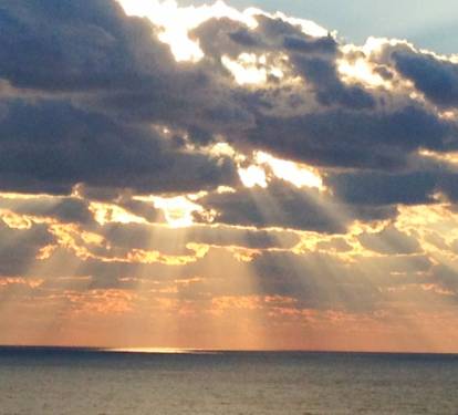 Photo #30