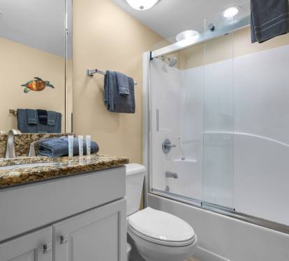 Guest Bath