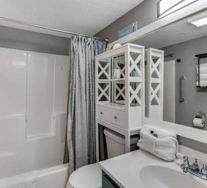 Bathroom Shower/Tub Combo