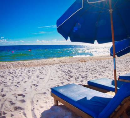 Photo #35