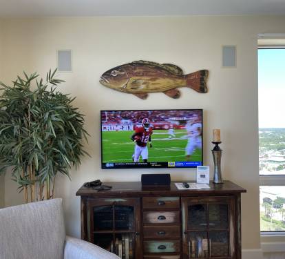55" Smart TV with Surround Sound