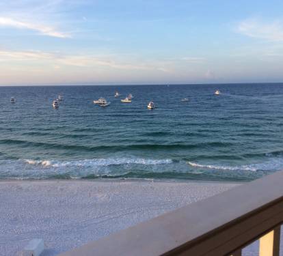 Photo #26