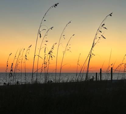 Spectacular Sunsets