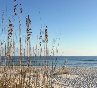 Our Beach at The Palm Beach