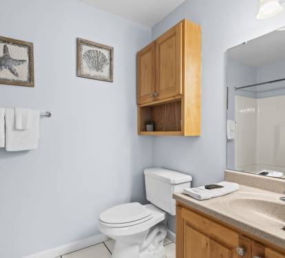 Guest Bathroom