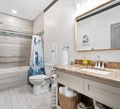 Guest bath Handicap Friendly