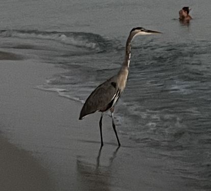 Photo #21