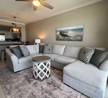 NEW sectional for the living room!