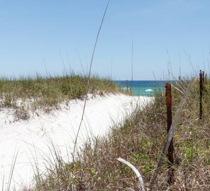 Photo #25