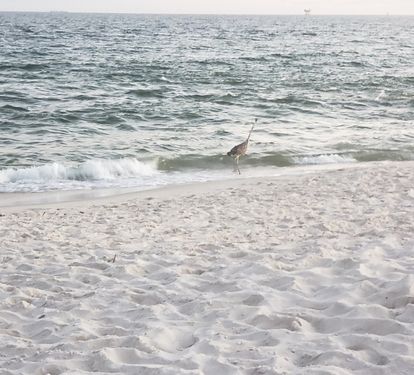 Public Beach Access – 2-minute walk