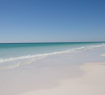 Photo #32