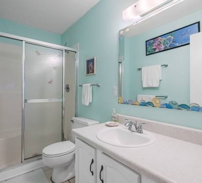 Hallway/Guest Bathroom